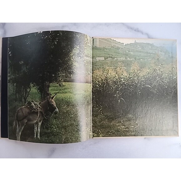 The Small Miracle Hardcover - Picture 8 of 10